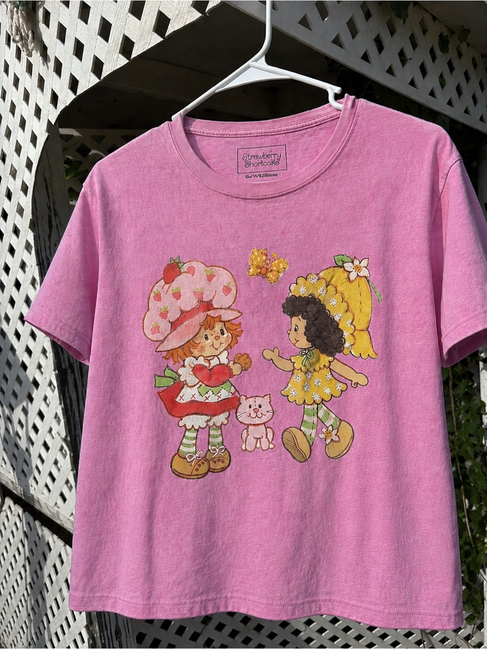 Strawberry Shortcake T-Shirt
